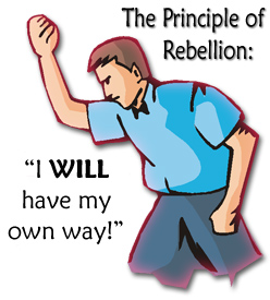 10_principle-rebellion